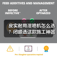 皮实耐用湿喷机怎么选？闭眼选这款施工神器！（图2）
