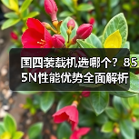 国四装载机选哪个？855N性能优势全面解析（图1）