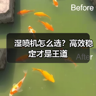 湿喷机怎么选？高效稳定才是王道（图2）