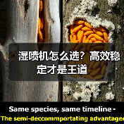 湿喷机怎么选？高效稳定才是王道（图1）