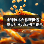 全球技术合作新机遇：意大利Hydra携手正迅重工共谋产业创新（图4）