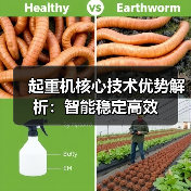 起重机核心技术优势解析:智能稳定高效(图3) 起重机核心技术优势解析:智能稳定高效(图3)