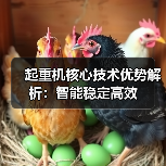 起重机核心技术优势解析:智能稳定高效(图4) 起重机核心技术优势解析:智能稳定高效(图4)