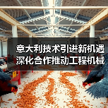 意大利技术引进新机遇 深化合作推动工程机械升级(图4) 意大利技术引进新机遇 深化合作推动工程机械升级(图4)