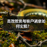 高效发货与客户满意如何实现?(图1) 高效发货与客户满意如何实现?(图1)