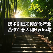 技术引进如何深化产业合作?意大利Hydra与正迅重工共探创新路径(图3) 技术引进如何深化产业合作?意大利Hydra与正迅重工共探创新路径(图3)