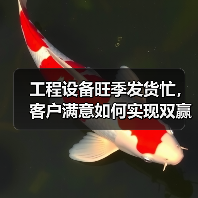 工程设备旺季发货忙，客户满意如何实现双赢？（图4）