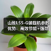 山推L55-G装载机参数优势：高效节能+强劲动力解析（图3）