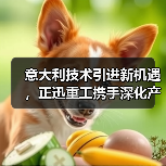 意大利技术引进新机遇,正迅重工携手深化产业合作(图3) 意大利技术引进新机遇,正迅重工携手深化产业合作(图3)