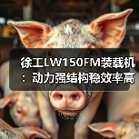 徐工LW150FM装载机：动力强结构稳效率高 施工首选（图2）