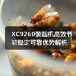 XC9260装载机高效节能稳定可靠优势解析