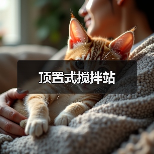 顶置式搅拌站