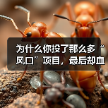 为什么你投了那么多“风口”项目,最后却血本无归,而别人家的私募却能稳稳赚钱? 为什么你投了那么多“风口”项目,最后却血本无归,而别人家的私募却能稳稳赚钱?