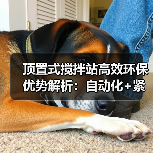 顶置式搅拌站高效环保优势解析:自动化+紧凑设计提升施工效率 顶置式搅拌站高效环保优势解析:自动化+紧凑设计提升施工效率