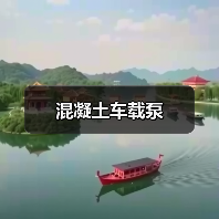 混凝土车载泵（图3）