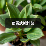 顶置式搅拌站