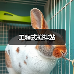 工程式搅拌站(图1) 工程式搅拌站(图1)