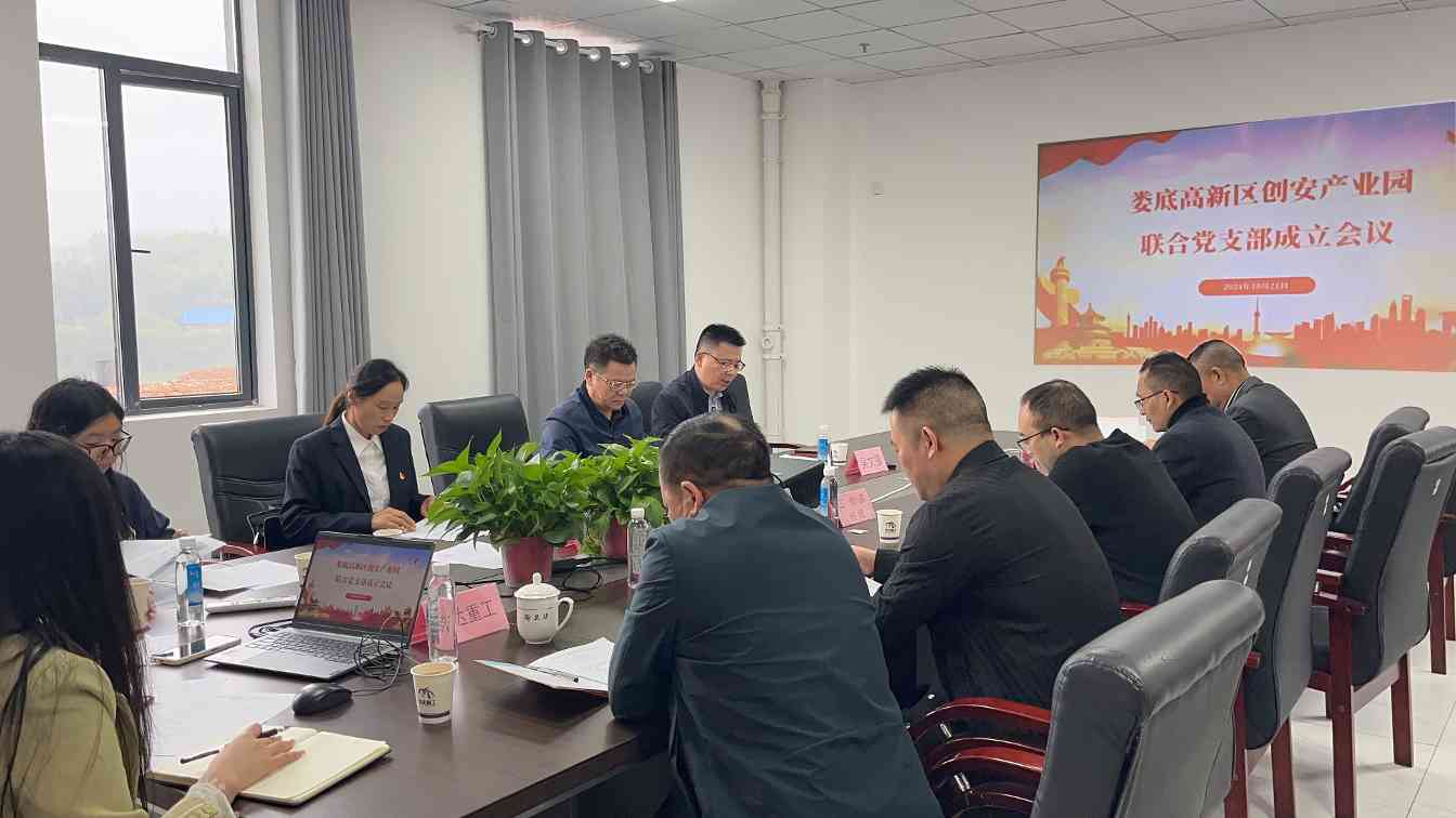 娄底高新区创安产业园联合党支部成立并选举书记